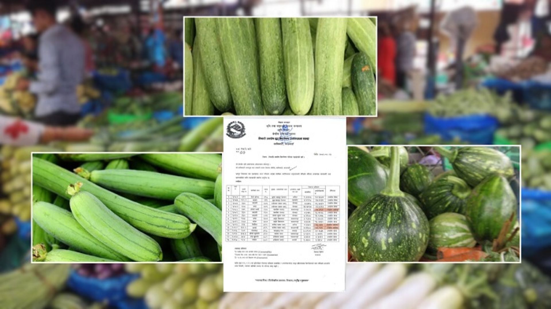 हरियो फर्सी, घिरौंला र काक्रोमा भेटियो अत्याधिक विषादी